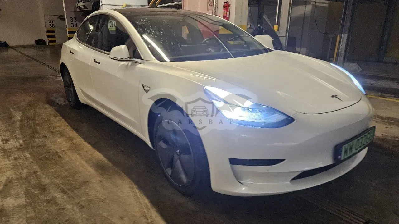 Tesla Model 3 Standard Reichweite Plus Hinterradantrieb 2020