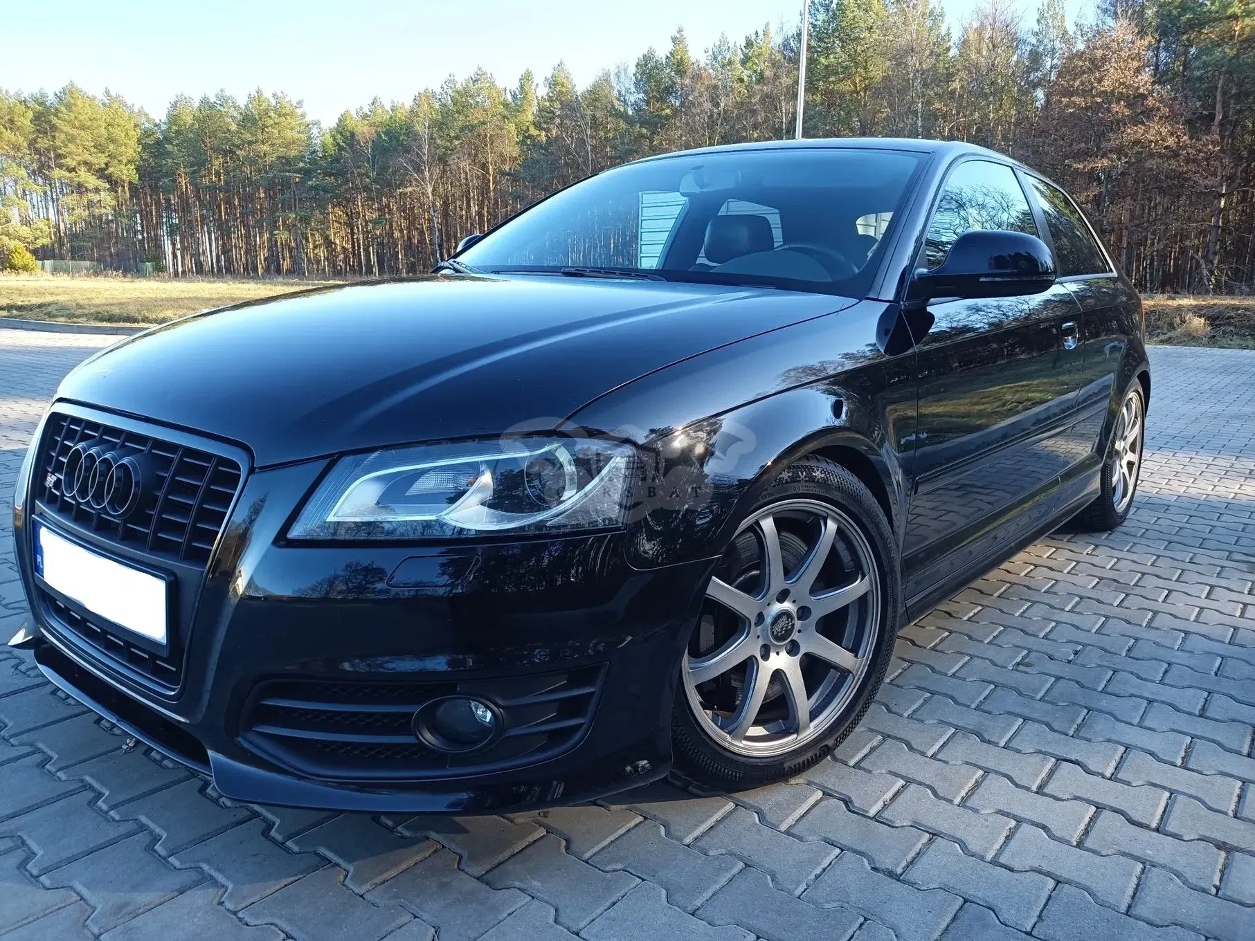 Audi S3 8P 2.0 TFSI Quattro 2008
