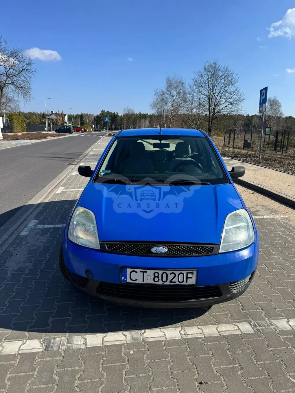 Ford Fiesta Mk6 1.3 Viva 2003