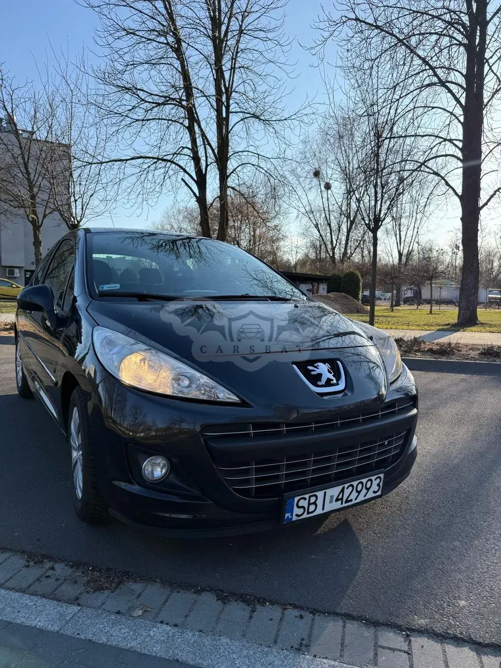 Peugeot 207 2012