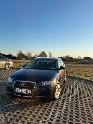 Audi A3 8P (2003-2012) 1.9 TDI Ambiente 2006