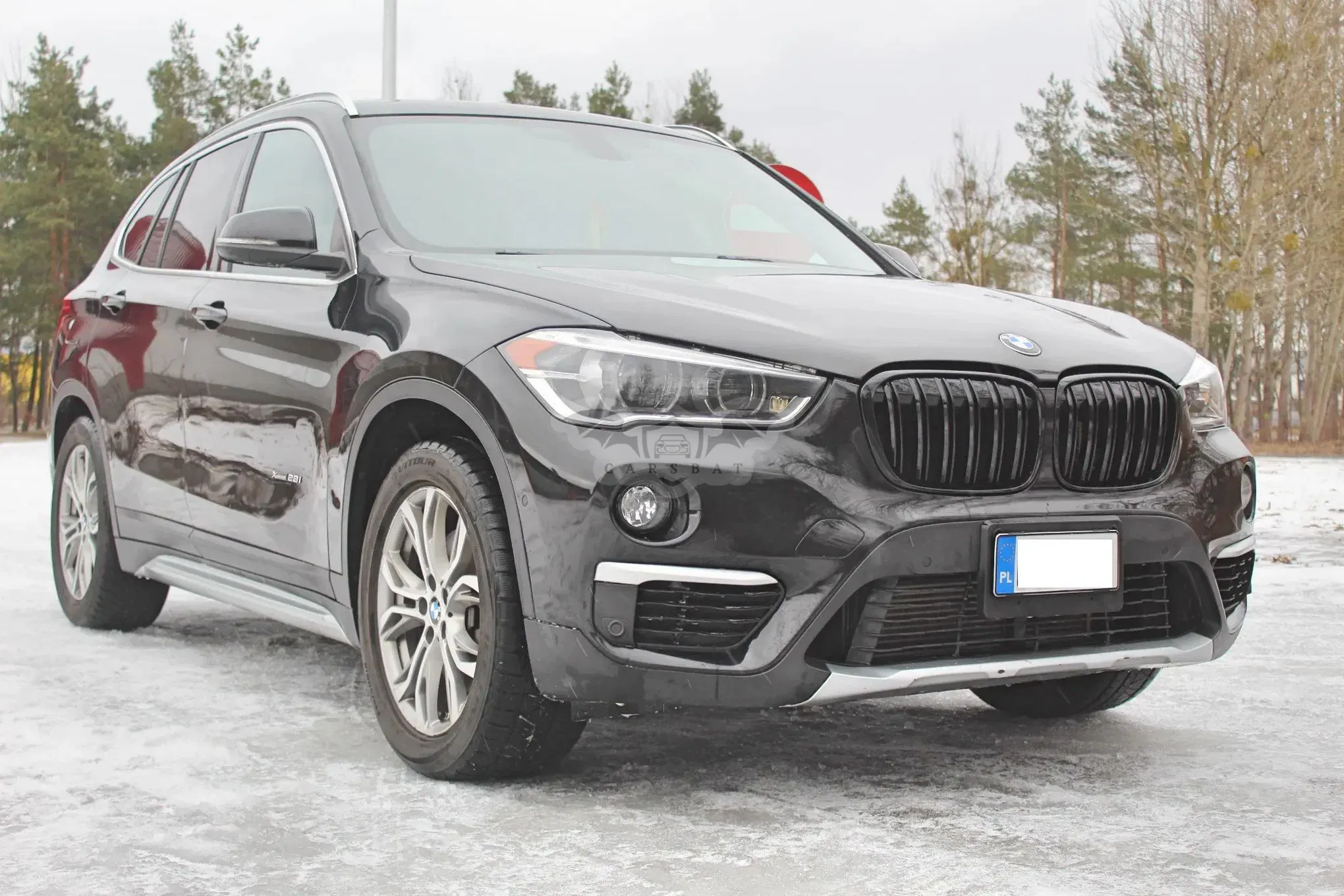 BMW X1 F48 xDrive25i xLine 2017