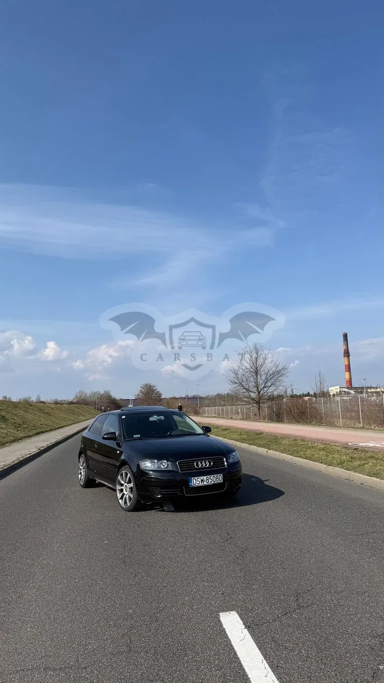 Audi A3 8P 2.0 TDI Ambition 2004