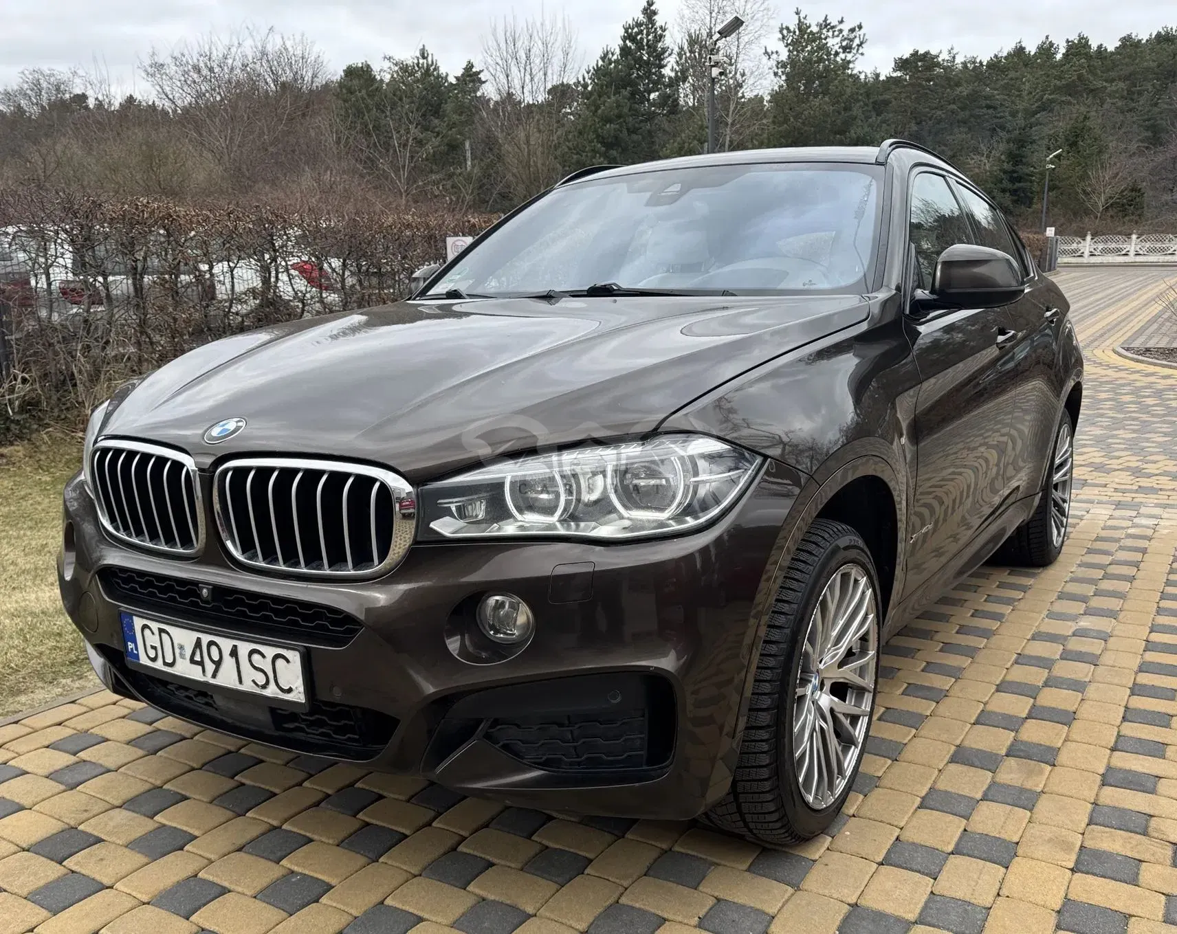 BMW X6 F16 xDrive40d 2016