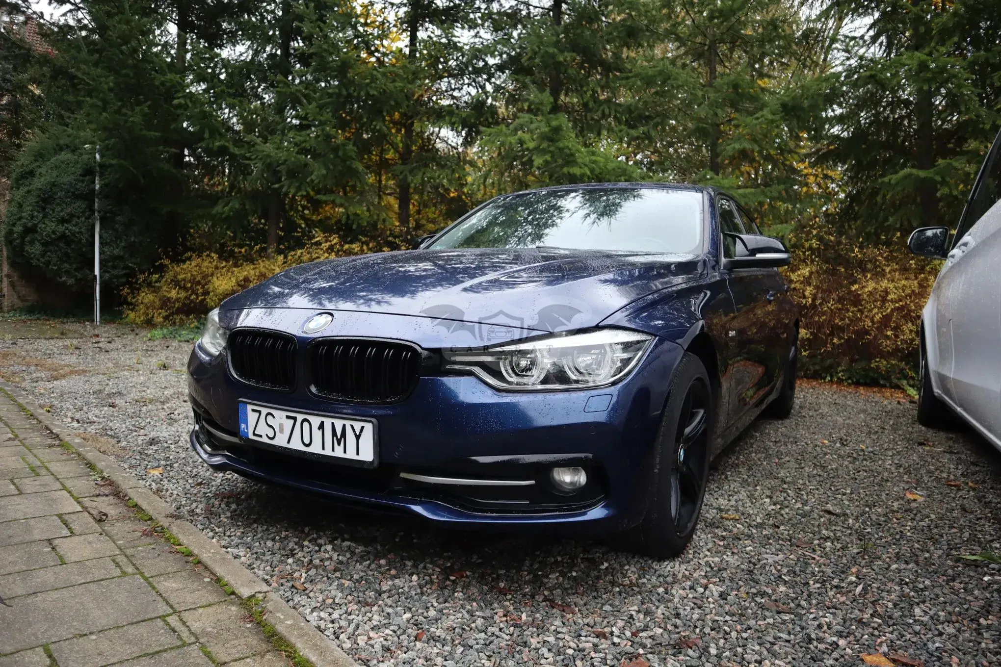 BMW 3 Series F30/F31 318i Sport Line 2017