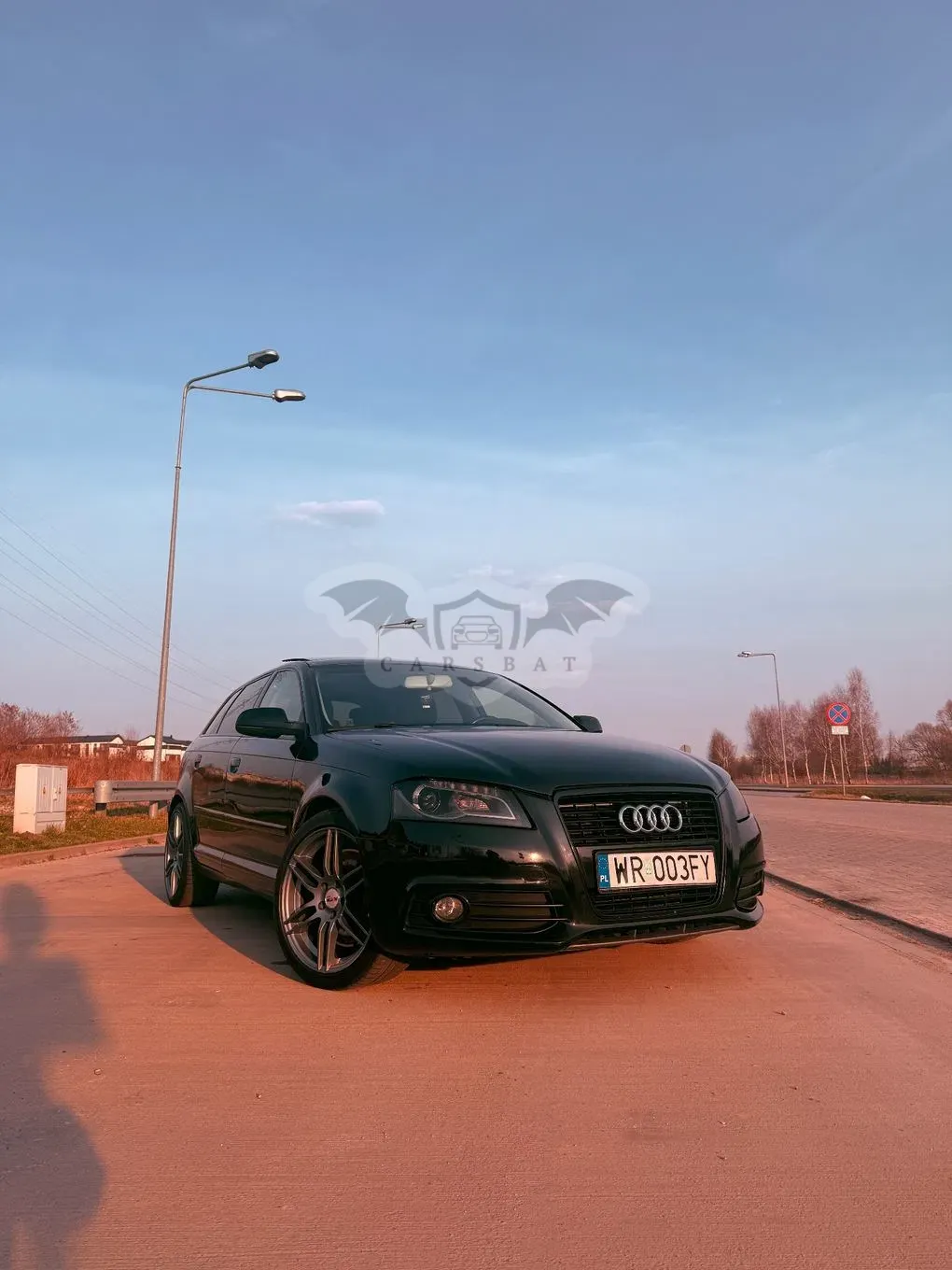 Audi A3 8P 2.0 TDI DPF Ambition S tronic 2010