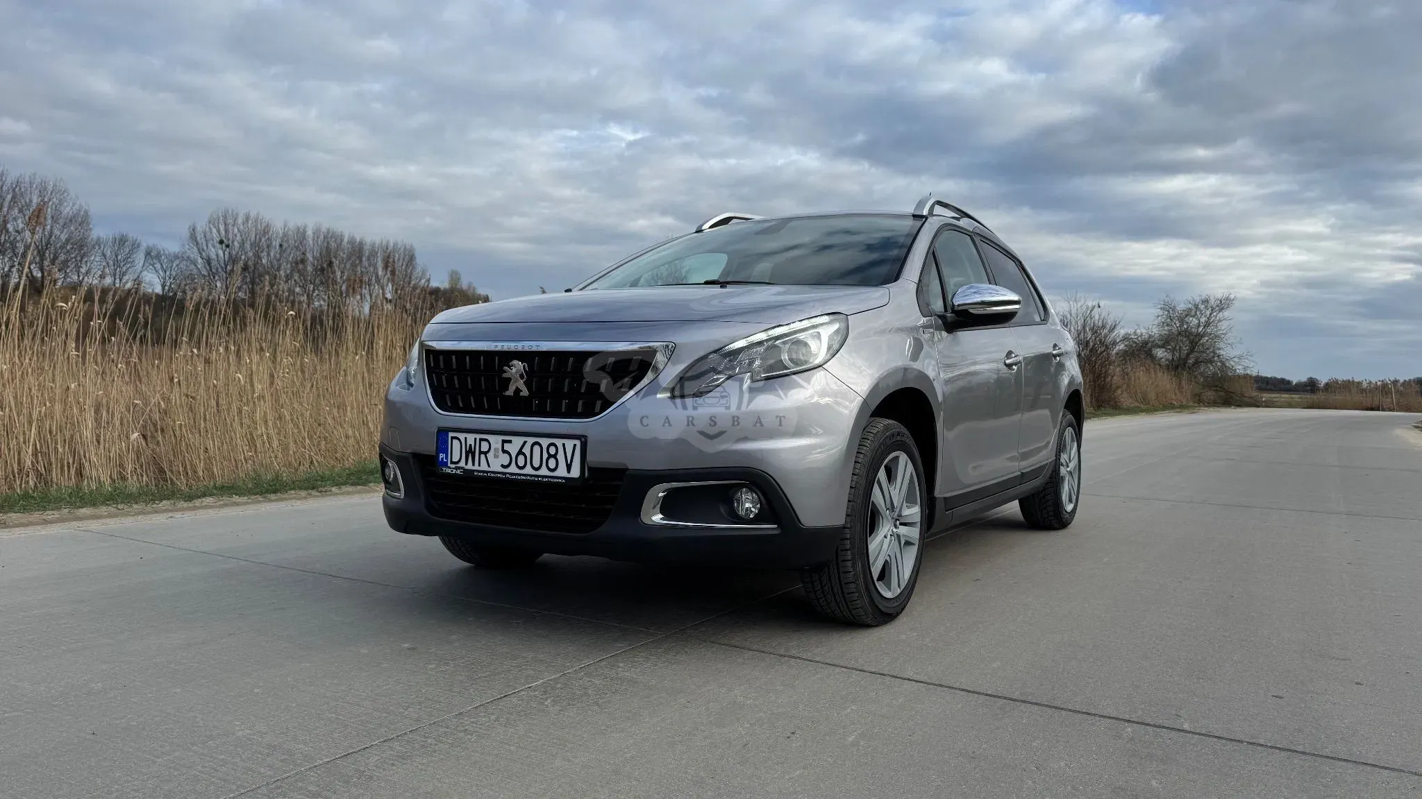 Peugeot 2008 I 2018