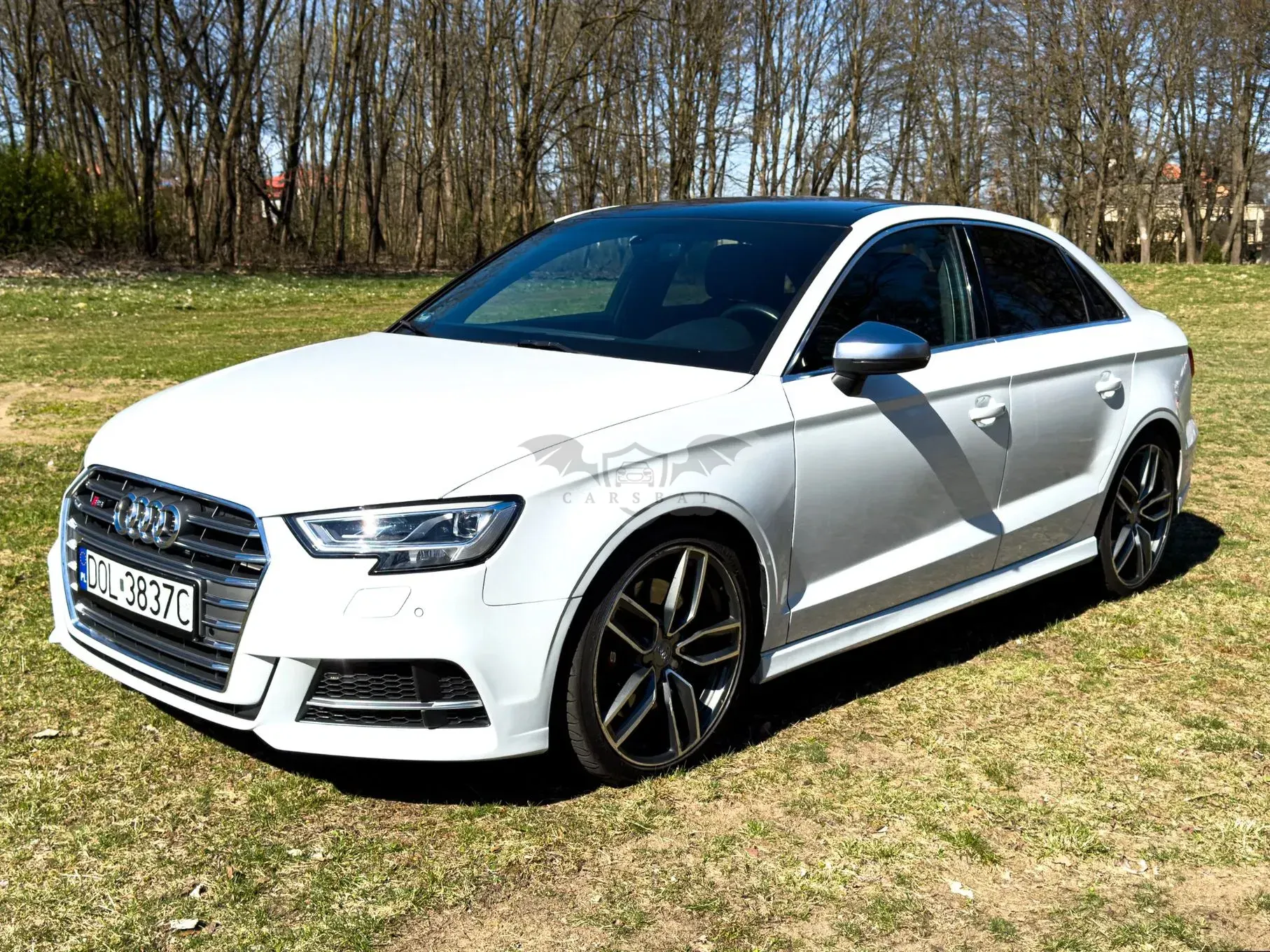 Audi S3 8V 2017