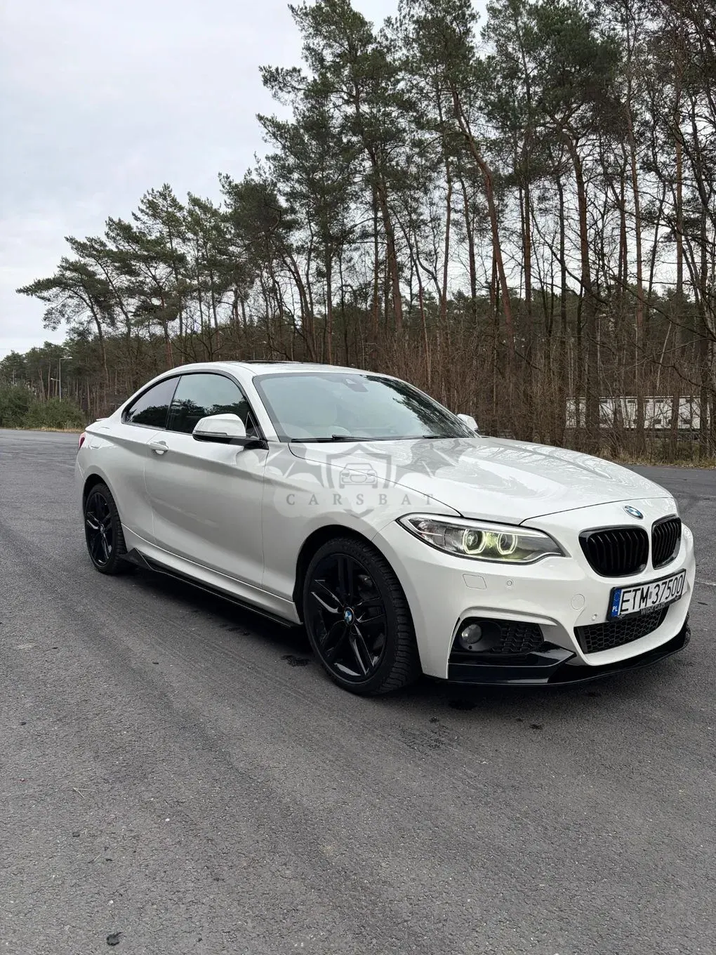 BMW 2 Series 230i Sport-Aut M Sport 2017