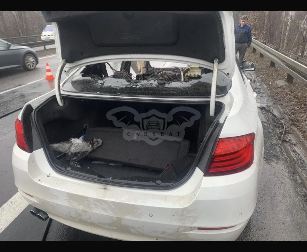 BMW 5 Series F10/F11 518d 2017