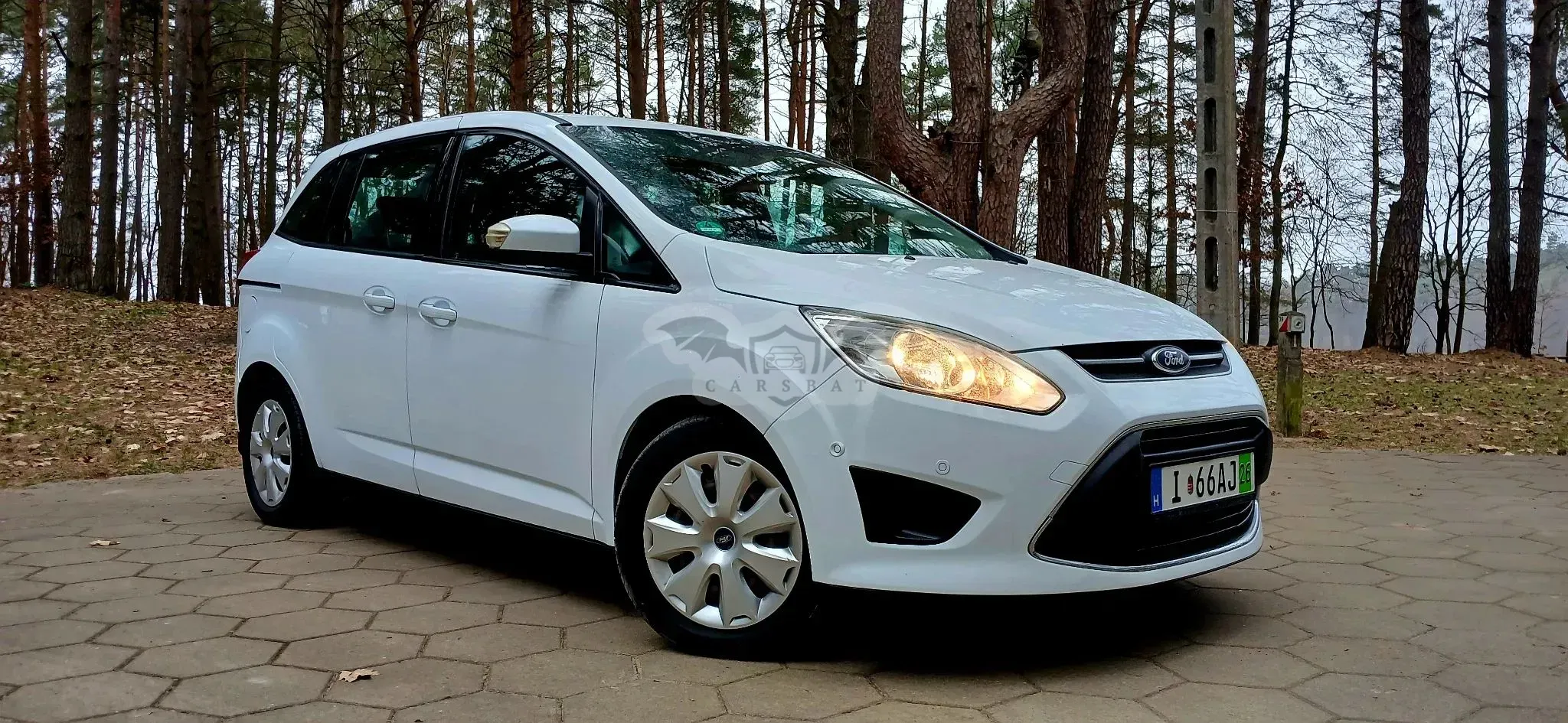 Ford Grand C-Max 1.6 TDCi Start-Stop-System Business Edition 2012