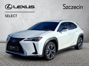 Lexus UX 250h GPF Business 2WD 2023