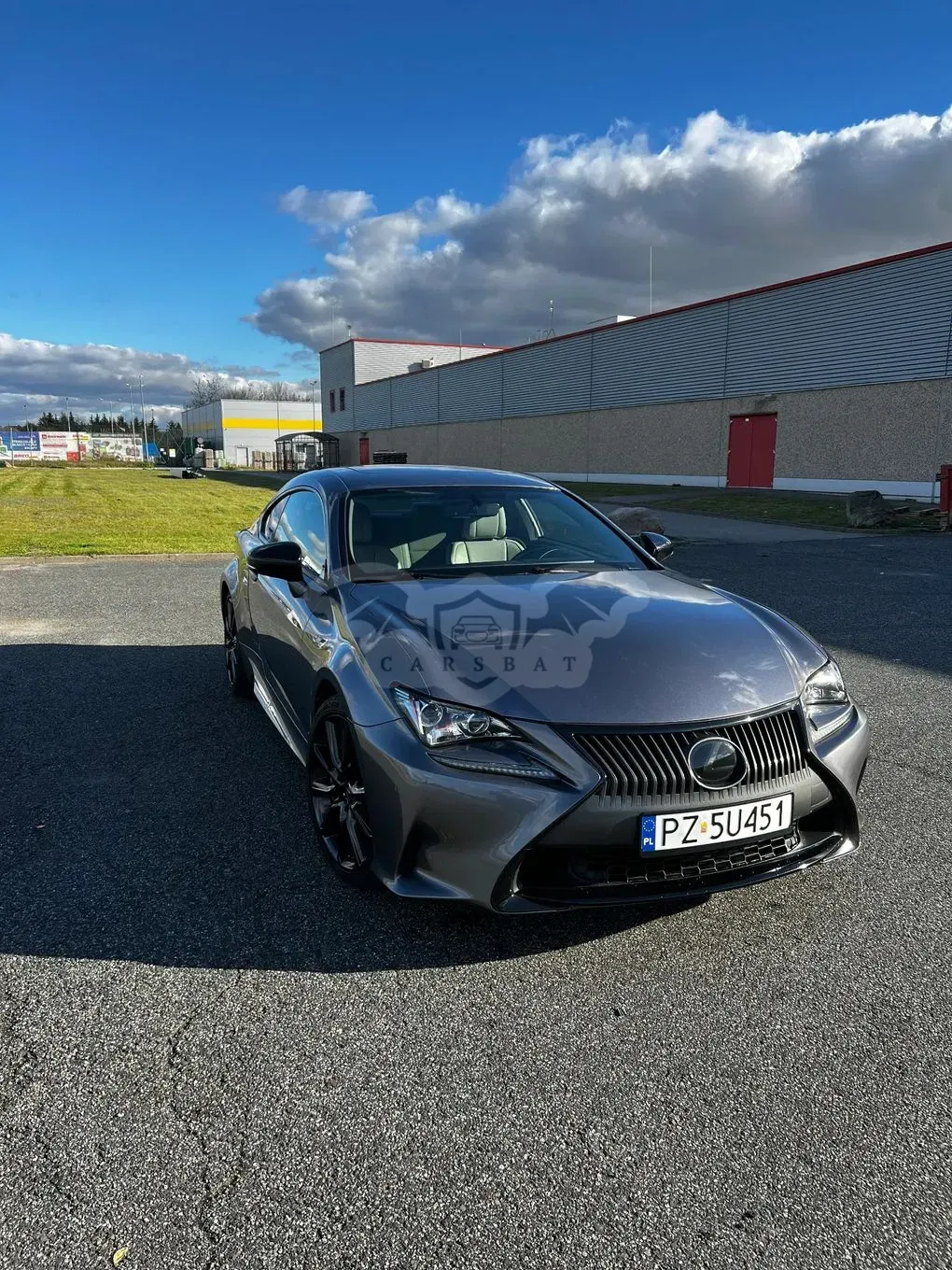Lexus RC 200t / 300 Elegance 2016