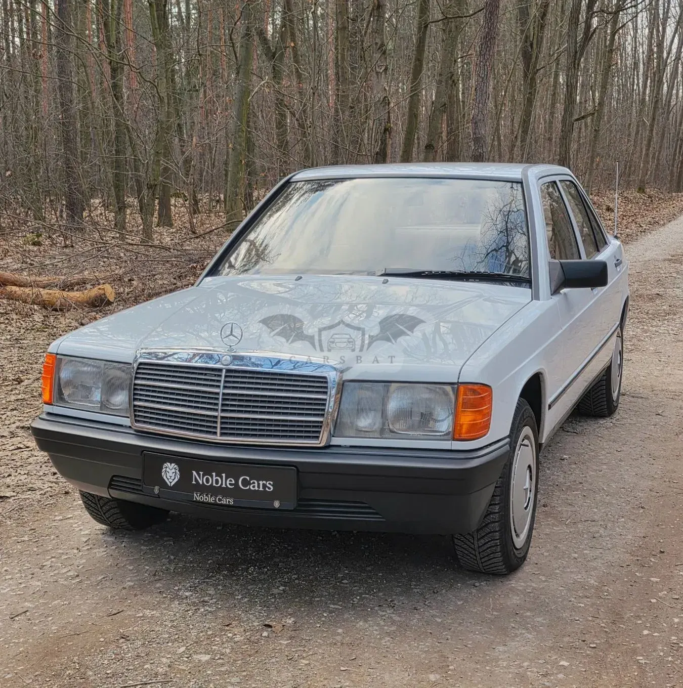 Mercedes-Benz 190 1987