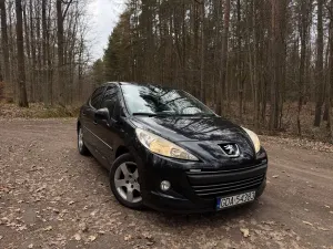Peugeot 207 1.4 Trendy 2009