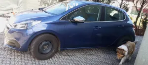 Peugeot 208 I 1.2 PureTech Active 2017