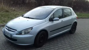 Peugeot 307 I 1.6 Mistral 2004