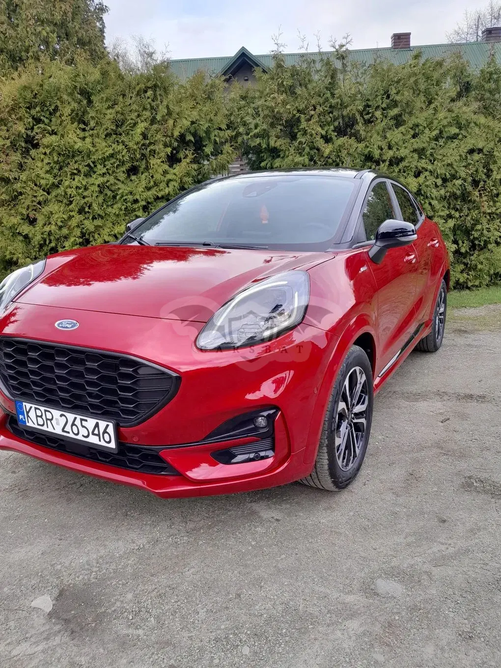 Ford Puma 1.0 EcoBoost ST-Line 2024