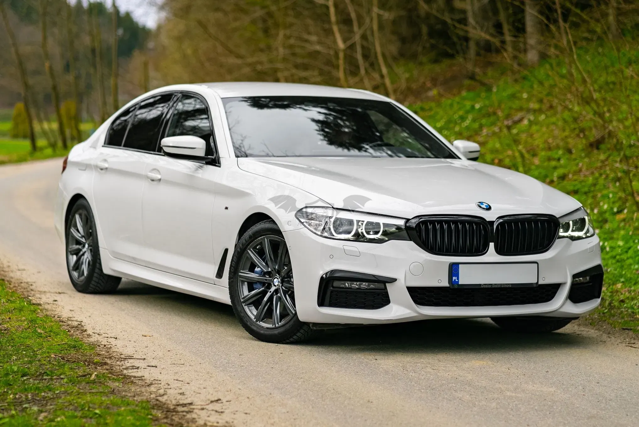 BMW 5 Series G30/G31 530i xDrive M Sport sport 2019