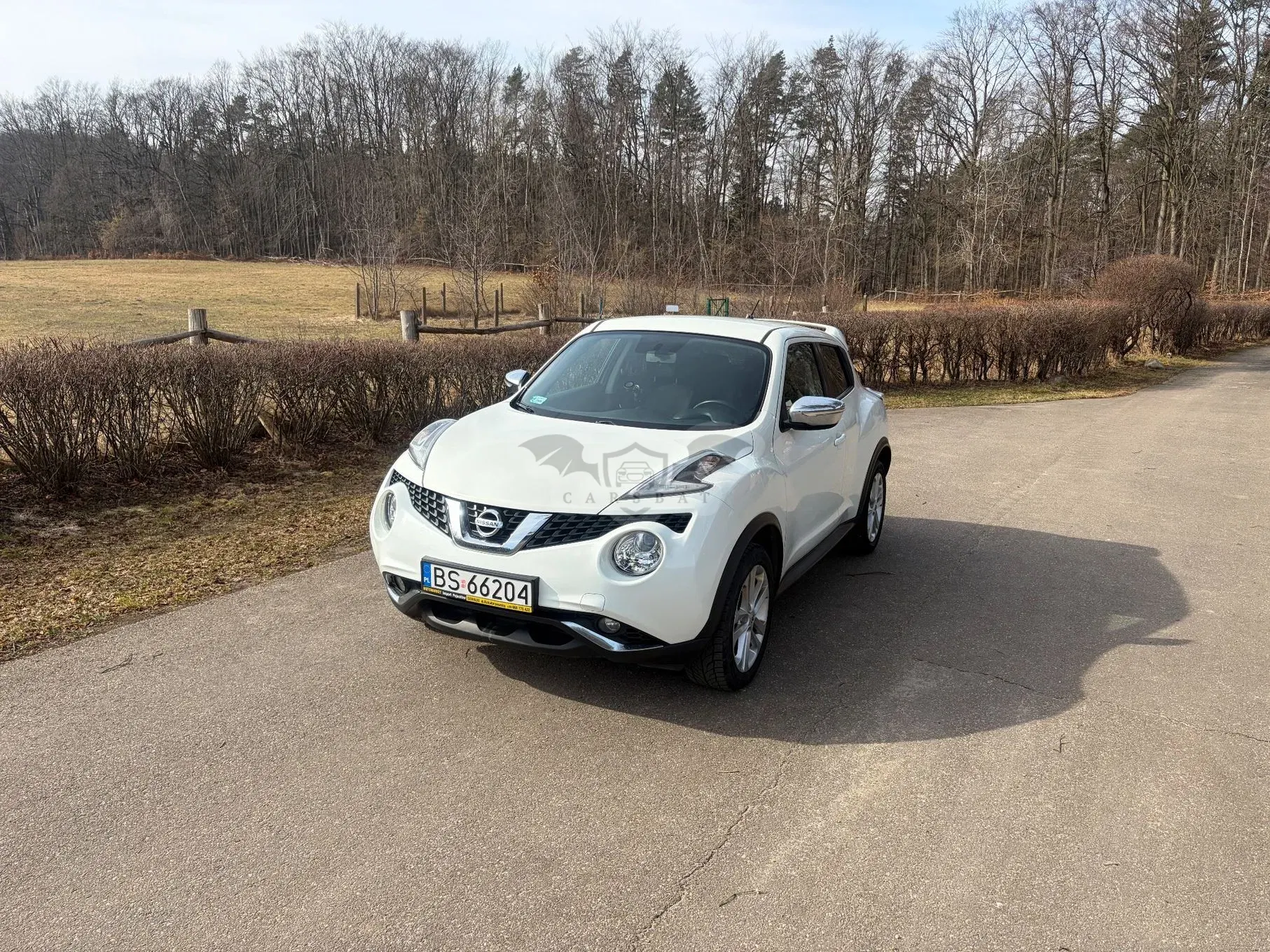 Nissan Juke I 1.2 DIG-T Acenta 2014