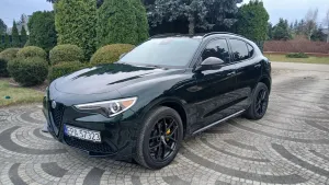 Alfa Romeo Stelvio 2.0 Turbo 16V AT8-Q4 Ti 2020