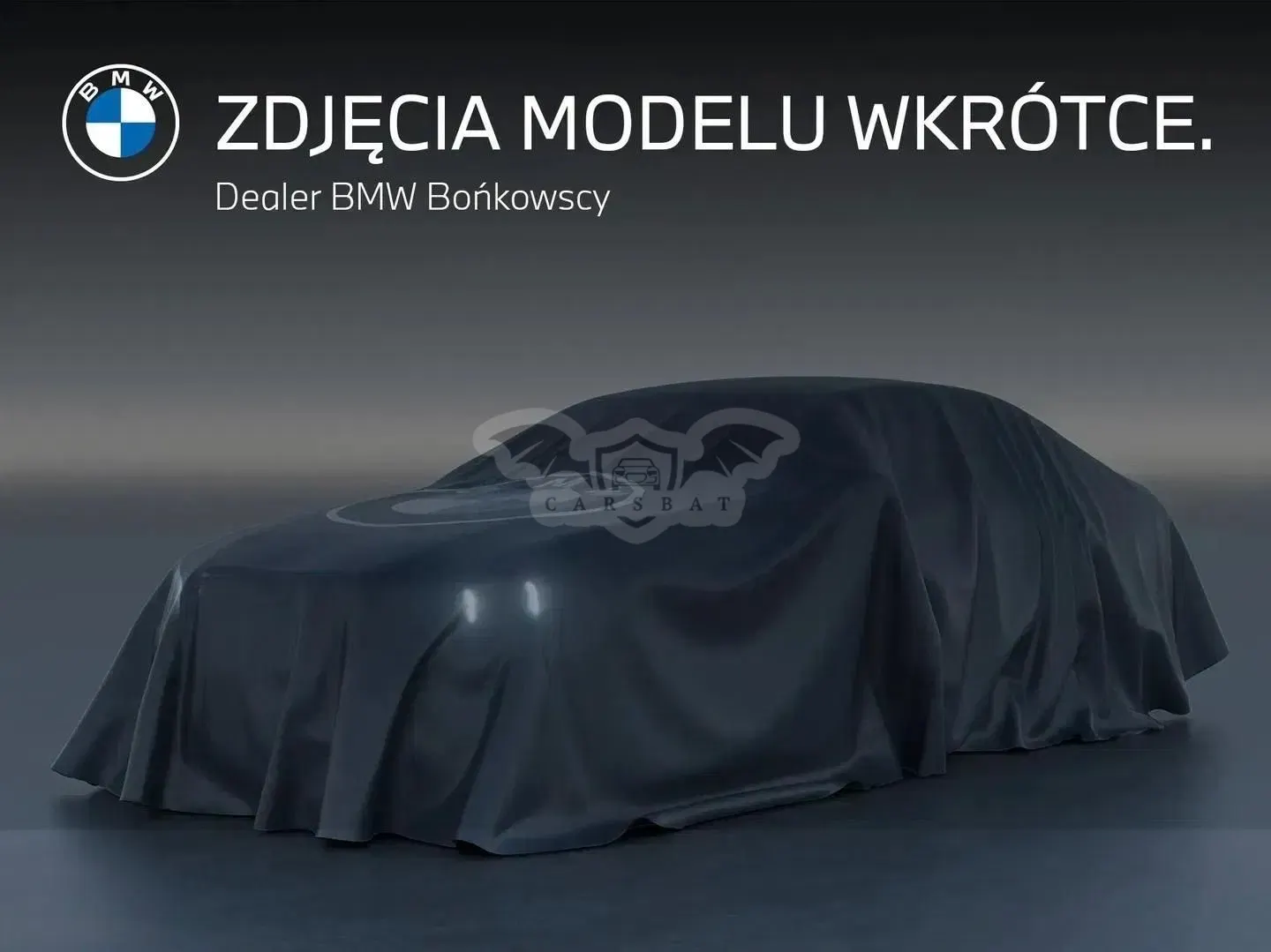 BMW X4 G02 2022
