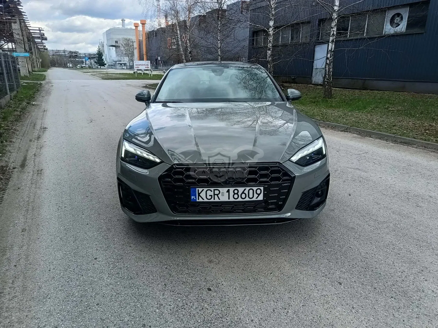 Audi S5 TDI mHEV Quattro Tiptronic 2021