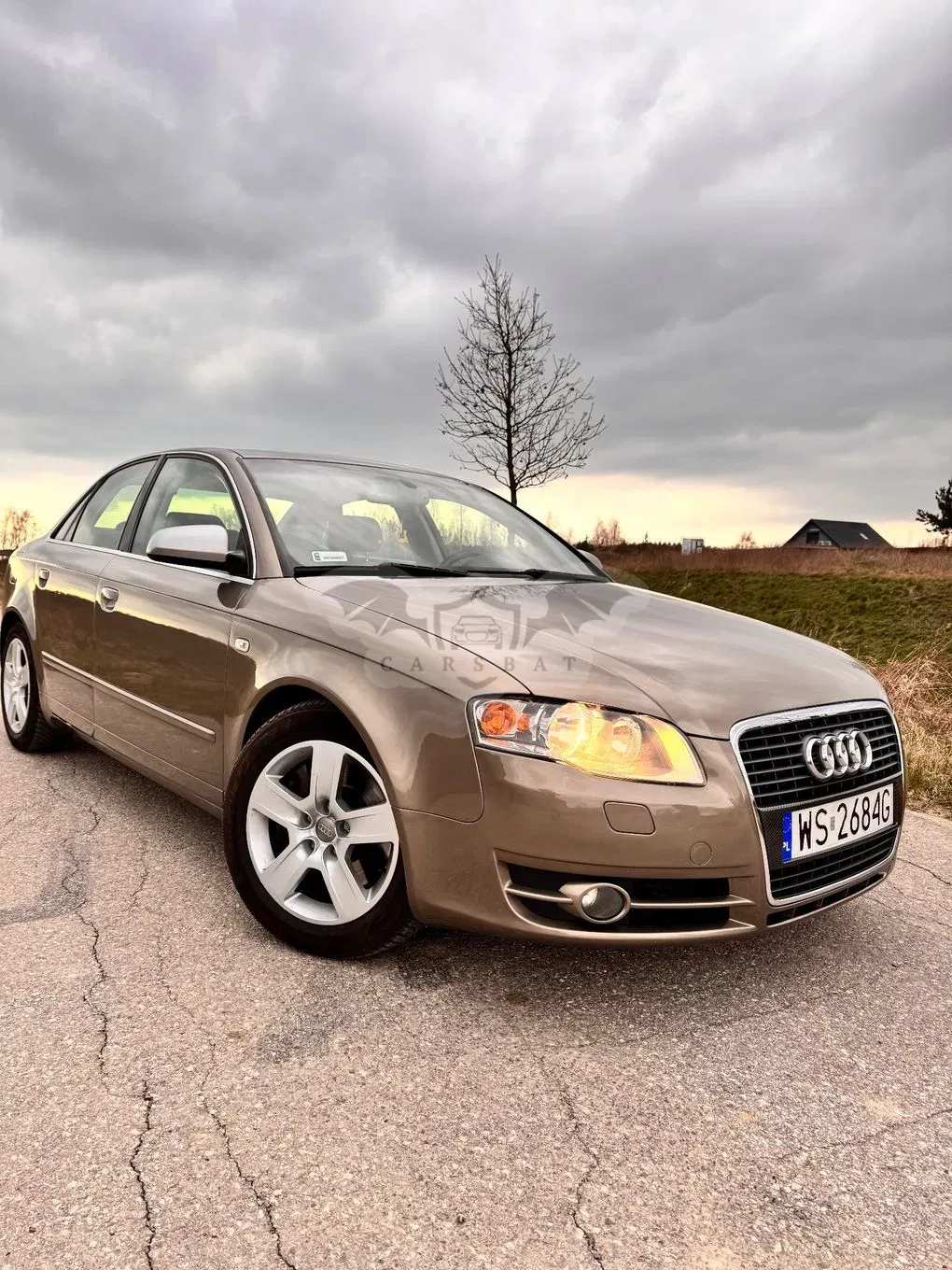 Audi A4 B7 (2004-2007) 2.0T FSI 2006