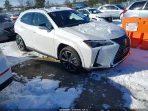 Lexus UX 2024