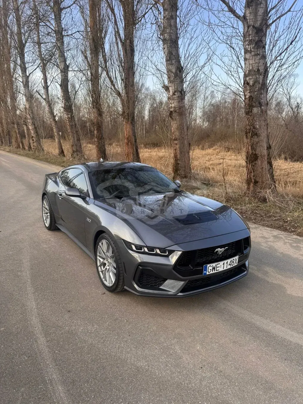 Ford Mustang 2024