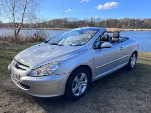 Peugeot 307 135 2004