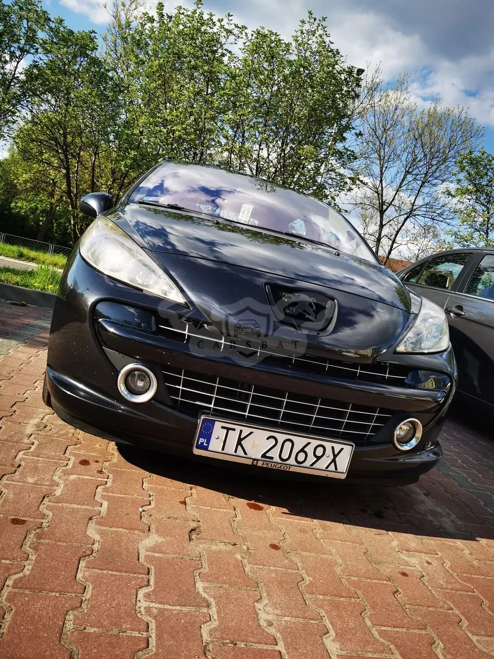 Peugeot 207 2006