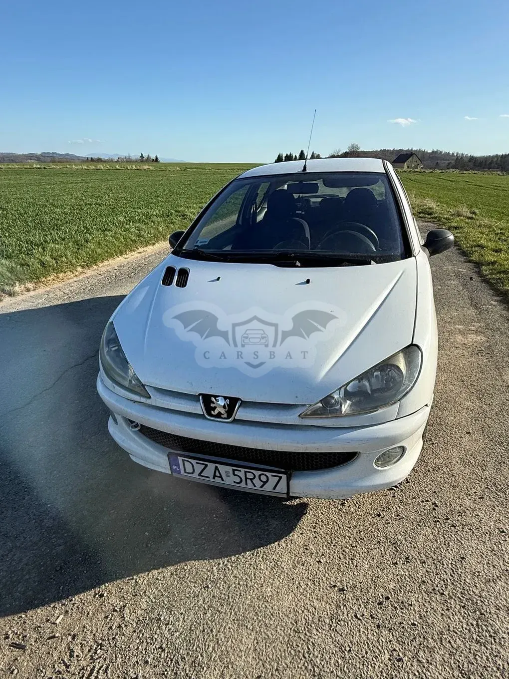 Peugeot 206 2004
