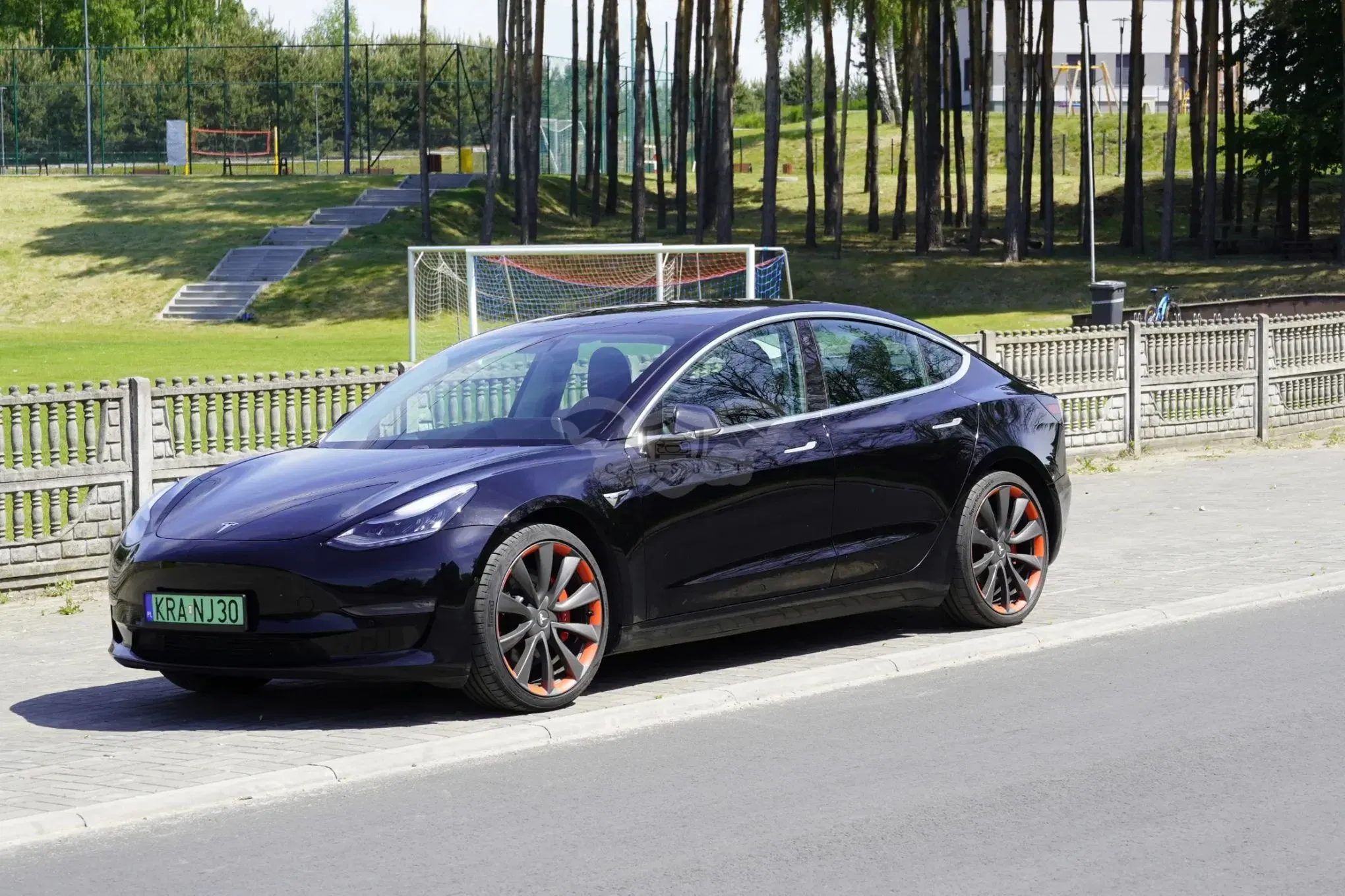 Tesla Model 3 2019