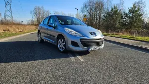 Peugeot 207 75 Millesim 200 2009