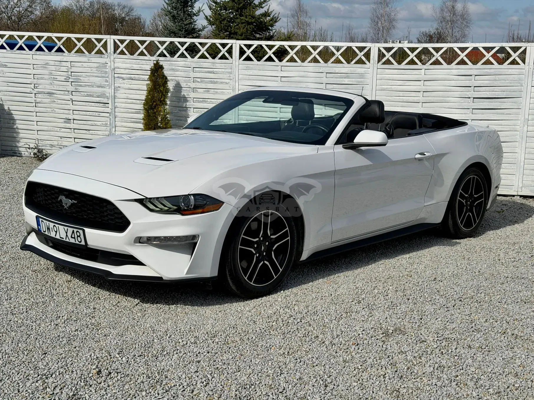 Ford Mustang Cabrio 2.3 Eco Boost 2021