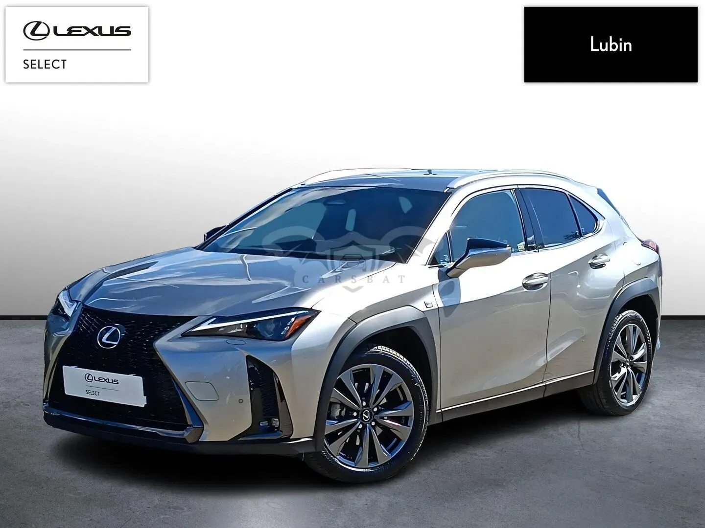 Lexus UX 2025