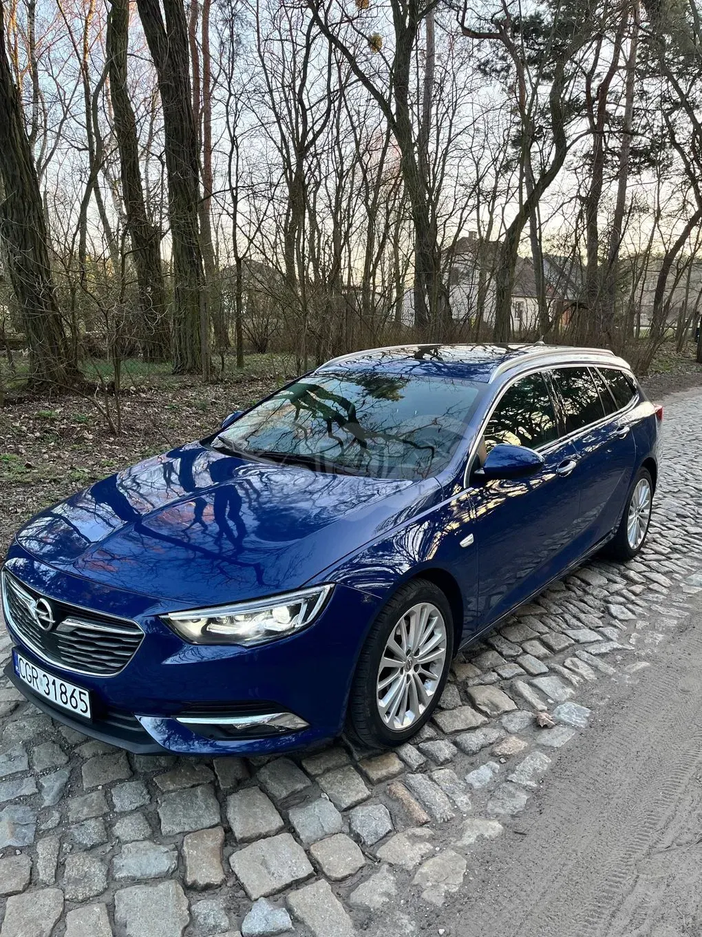 Opel Insignia B 2.0 CDTI 4x4 Ultimate S&S 2019