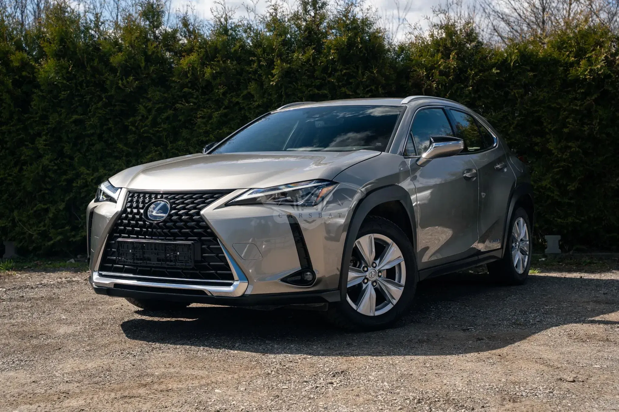 Lexus UX 250h Business Edition 2021
