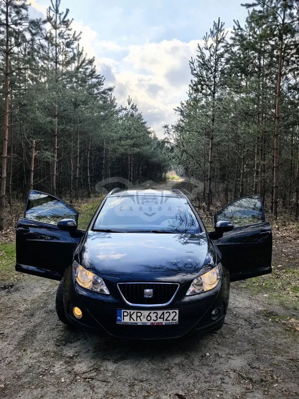 Seat Ibiza IV 1.6 TDI DPF Style 2011