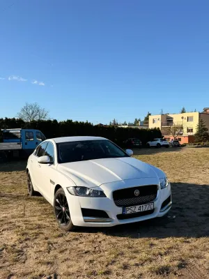 Jaguar XF X260 2.0 i4D Prestige 2017