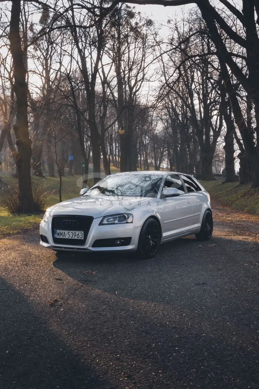 Audi A3 8P 2.0 TDI DPF S line Sportpaket 2009