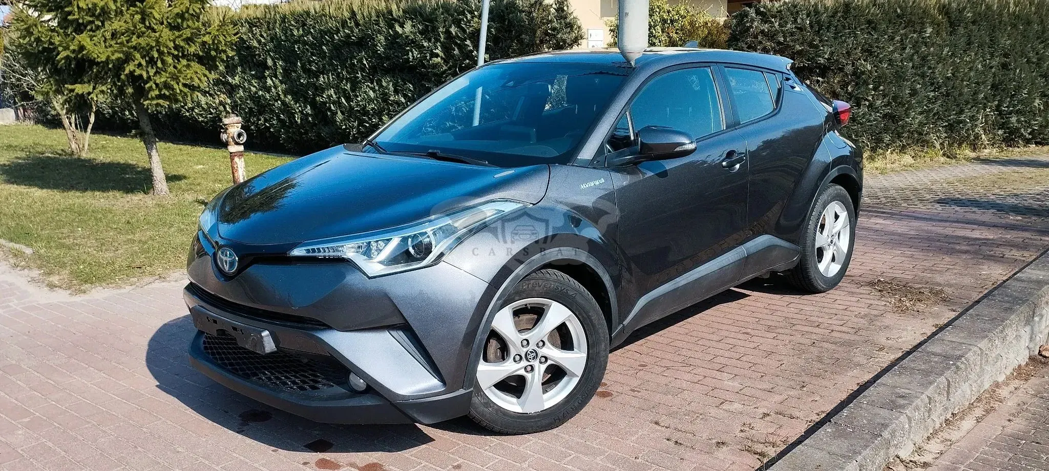 Toyota C-HR Business-Edition 2018