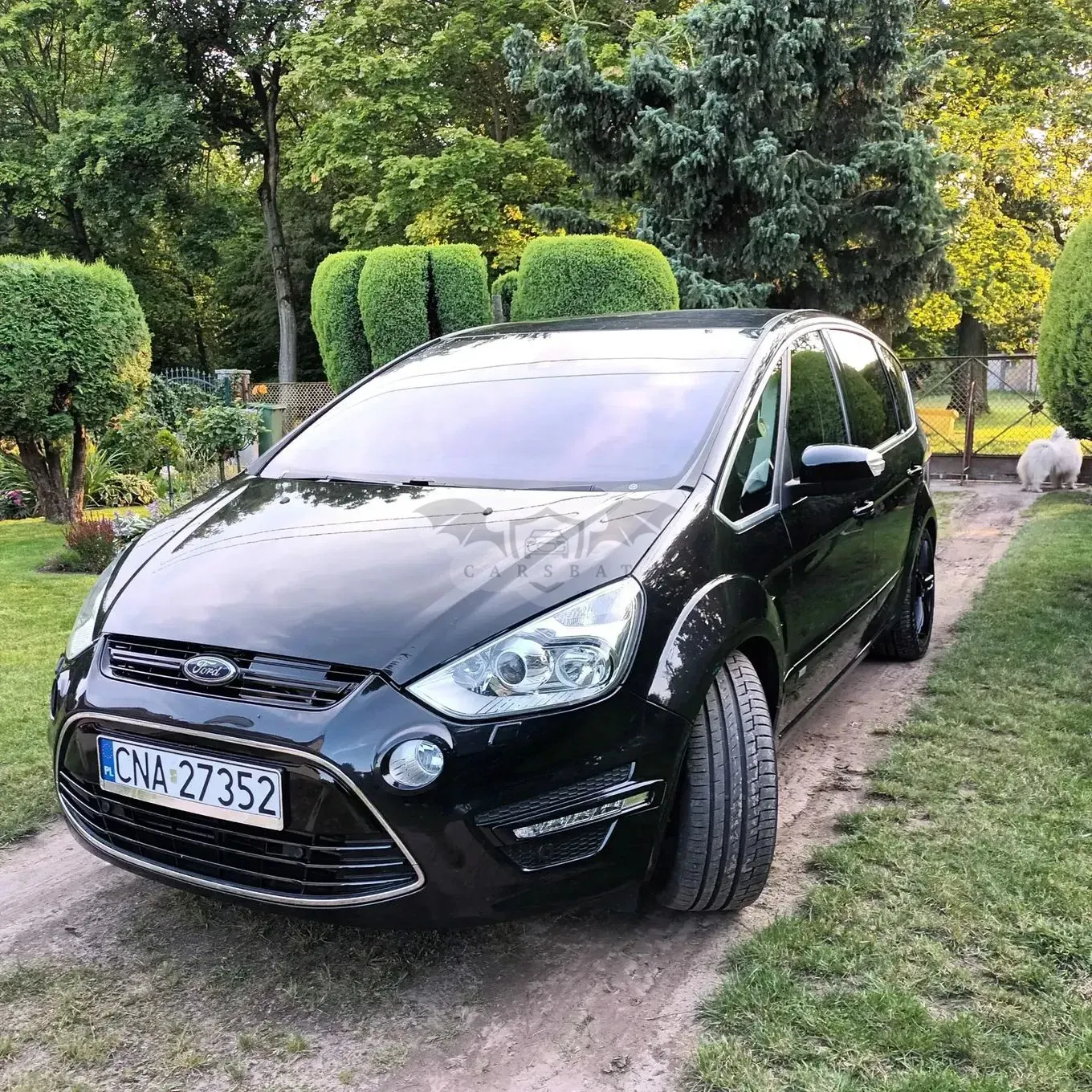 Ford S-Max I 2013
