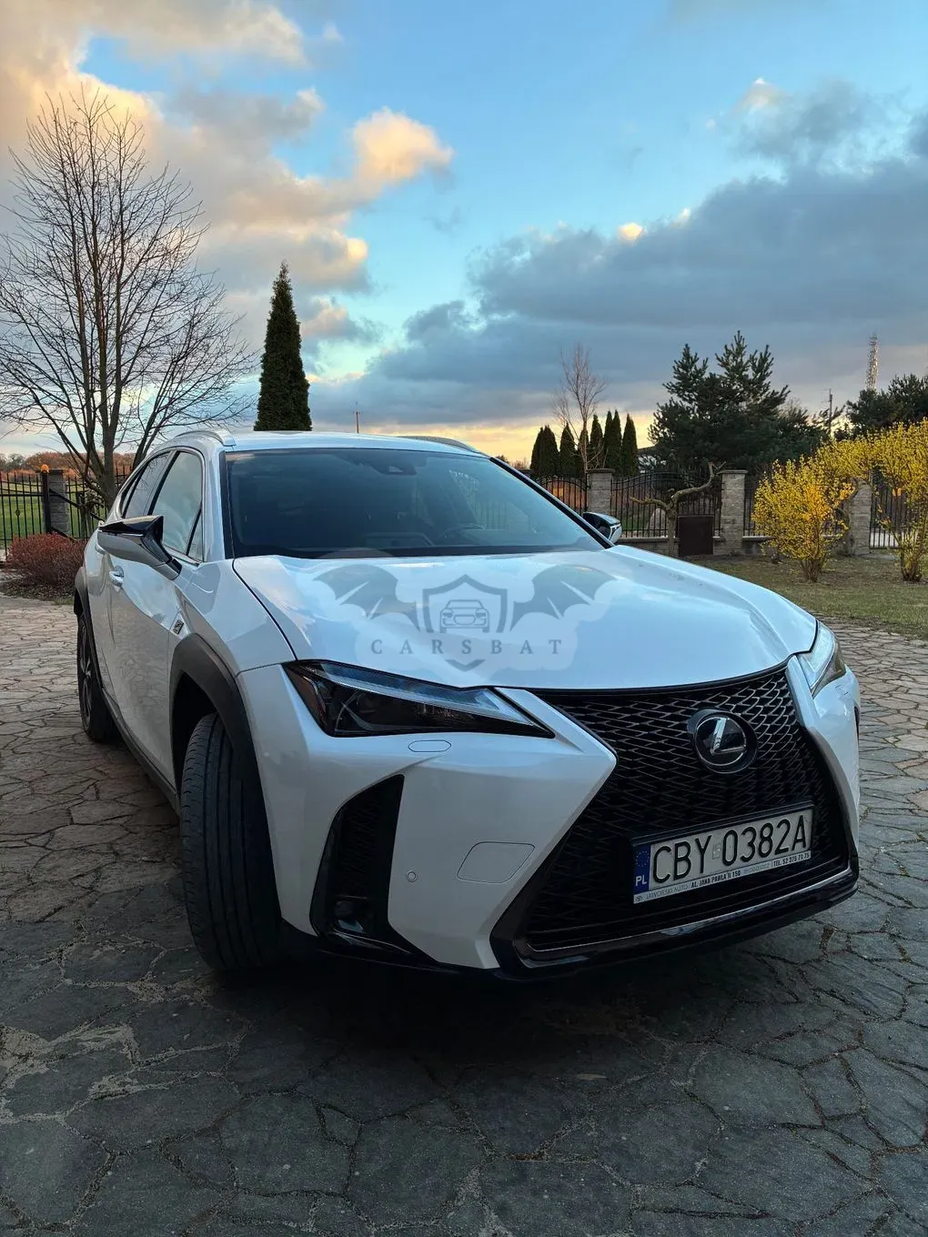 Lexus UX 250h F Sport 2WD 2022