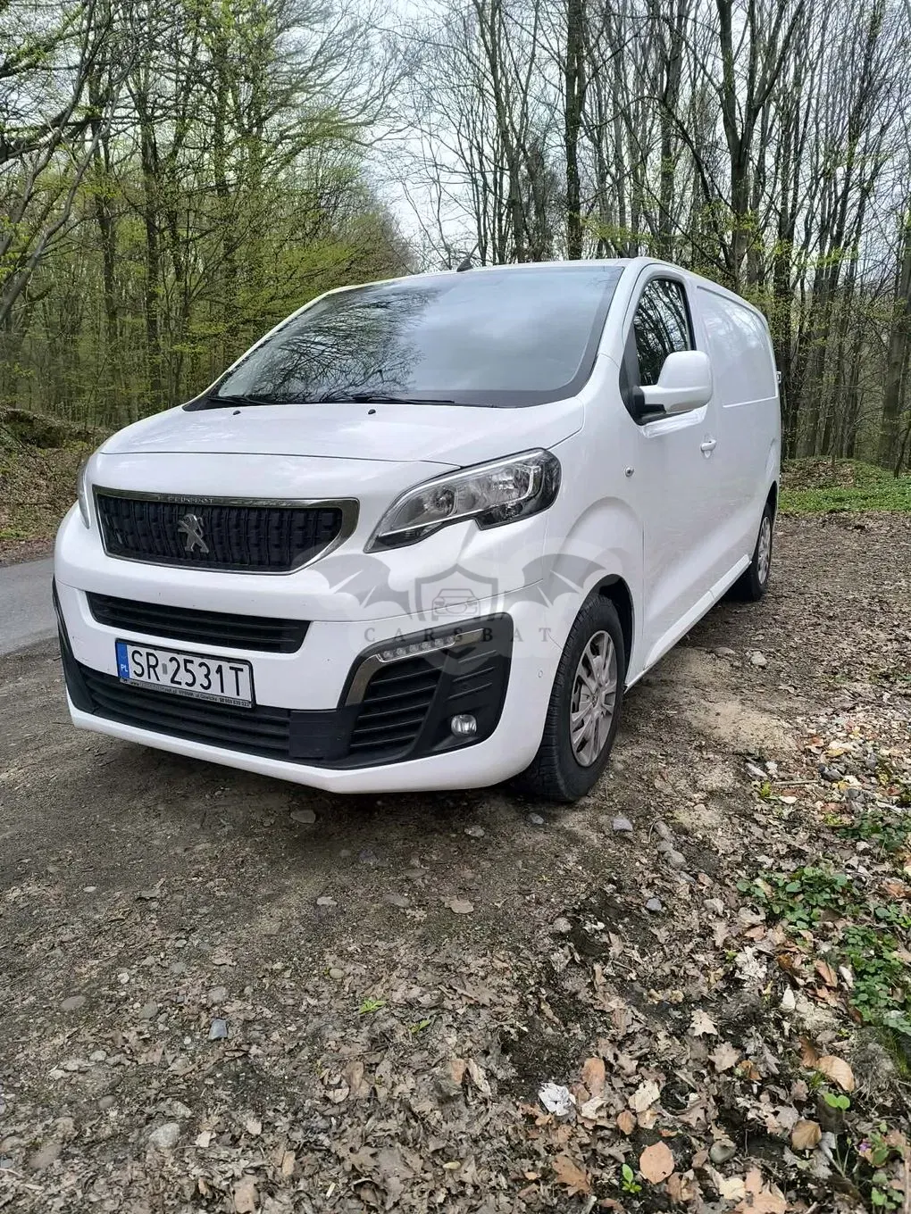 Peugeot Expert 2019