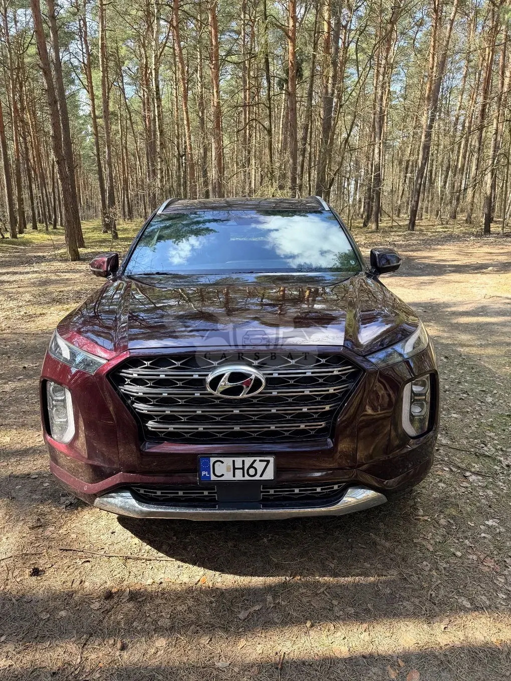 Hyundai Palisade 2019