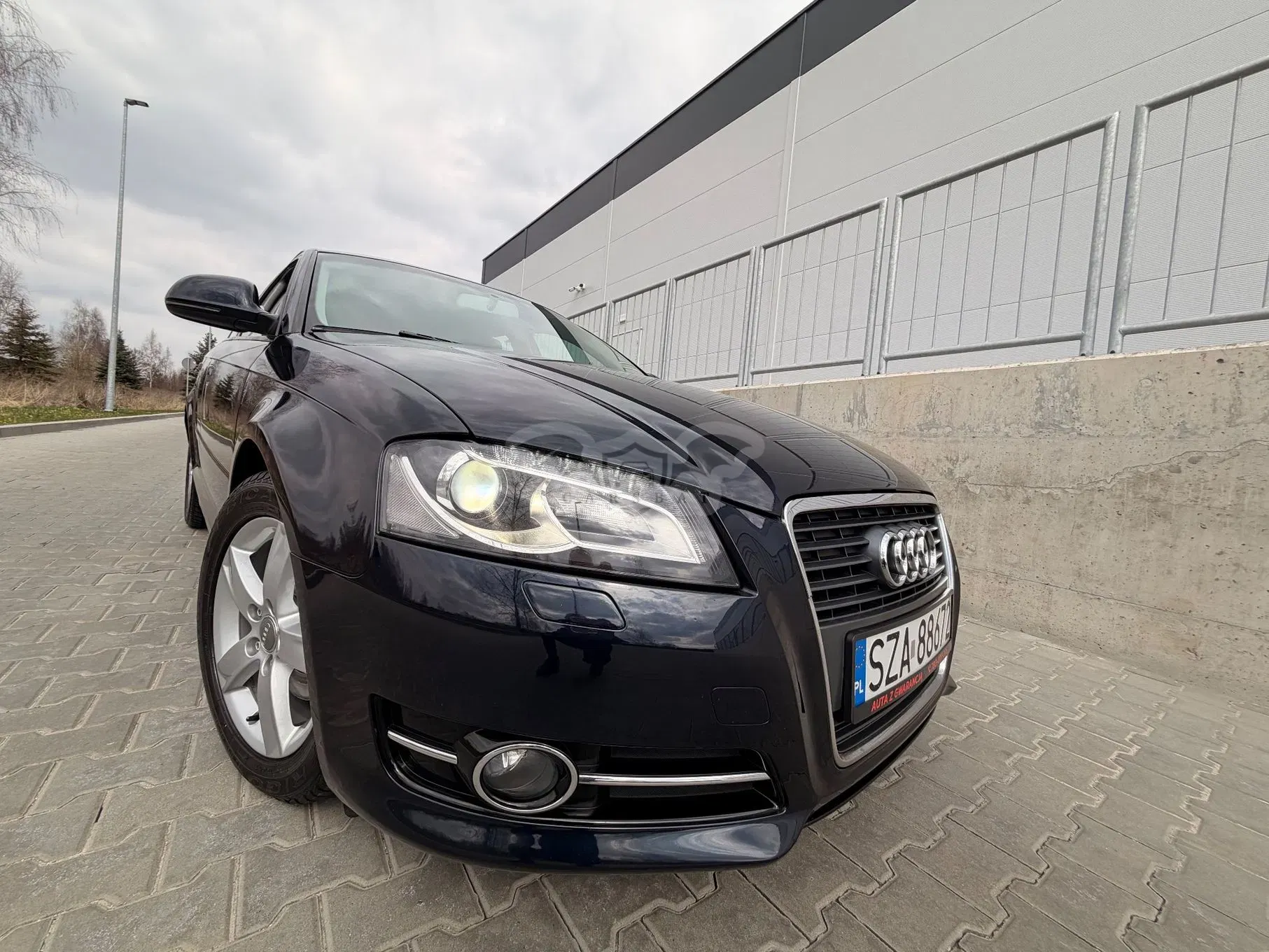 Audi A3 8P 1.6 TDI DPF Ambiente 2009
