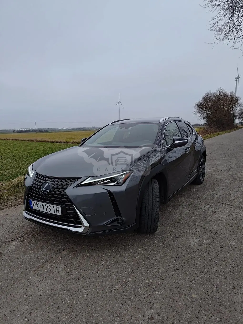 Lexus UX 2021