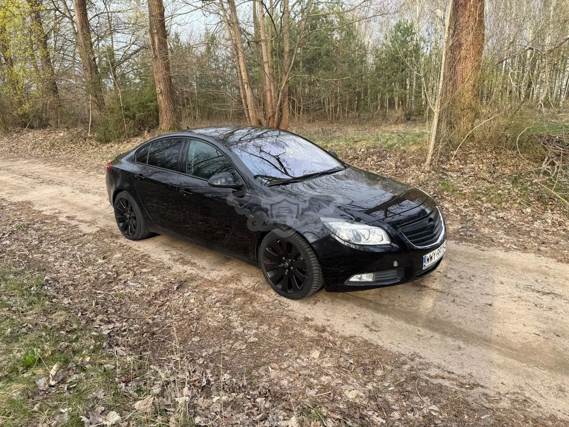 Opel Insignia A 2.0 Turbo 4x4 2008